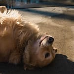 Pexels Photo 752389