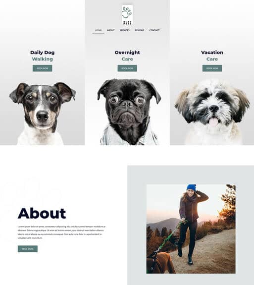 Busy Pets Pet Business Web Design.jpg
